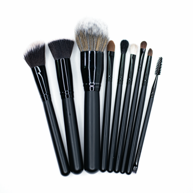 9 Piece Brush Set